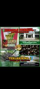 PPKS DXP SUNGAI PANCUR 1 ISI 250 BERSERTIFIKAT