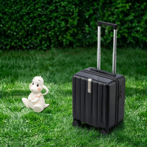 Hanke | Carry-on Portable Mini Suitcase 14 inches