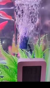Cốc sủi oxy chống văng nước cho bể cá bể thuỷ sinh bằng thủy tinh
