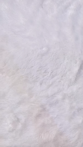 [LUSIN] Singlet AGREE Kids ST 01 / Kaos Dalam Anak AGREE Singlet / Kaos AGREE - sckmenwear GROSIR