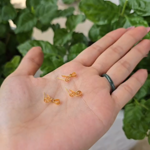 Q1987 Móc mặt dây chuyền - móc charm - móc kim tiền vàng Au10k hàng chuẩn đủ tuổi vàng - Phong Thủy TUDO