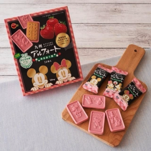 🗻🍫bourbon alfort mt. fuji chocolate เบอร์บอนบิสกิตเคลือบช็อกโกแลต [Limited จาก Fuji]