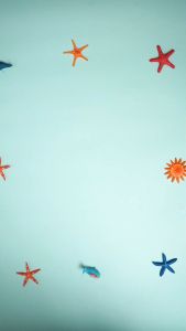 Buku Aku Mau Tau Semua Seri 1 Hard Cover Ziyadbooks Buku Pengetahuan Anak - Okalinabooks