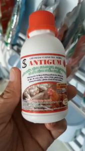 Men Vi Sinh ANTIGUM: Phòng Ngừa Các Triệu Chứng Và Bệnh Của Gà Vịt Ngang - Chai 100ML