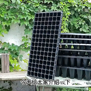 PORTSEED WADAN SEMAI BIBIT FA