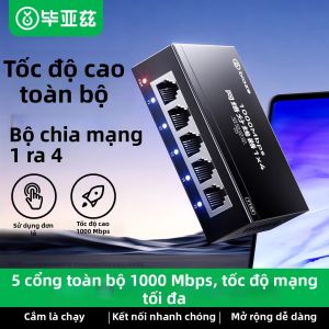 Biaze | Bộ Chia Cổng Ethernet Đa Cổng