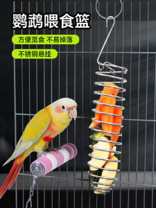 Stainless Steel Parrot Feeder Hanging Fork Vegetable Fruit Basket Toy Feeding Device Bird Cage Accessories Comprehensive Supplies