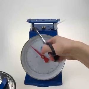 5/10/30 kg platform scaleuniversal main platform scale pointer spring scale kitchen scale food and meat use kg scale