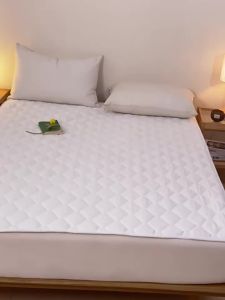 Đệm Mỏng Chống Trượt Đơn cho Ký Túc Xá/Sinh Viên/Khách Sạn