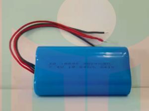 Pin thay thế máy thổi hút bụi