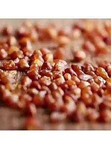 LEQIN | Premium Sichuan Daliangshan Buckwheat Tea Blood Sugar Control