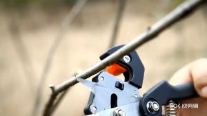 Gunting Potong Batang Tanaman Professional Grafting Pruner Tool