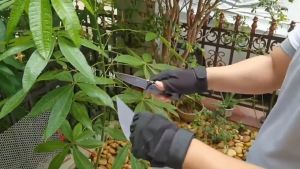 เหมาะสำหรับกิจกกรมกลางแจ้ง Portable Camping Survival Fruit Cutter Camping Hunting Tactical Knife