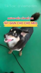 Xổ Giun Vime Deworm cho Chó Mèo Dạng Viên Vemedim - Thuốc trị giun sán cho thú cưng