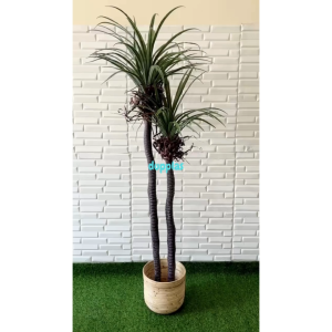 Pohon Artificial Tanaman Hias Pandan Bali X2 T160 Latex Pohon Dracaena Dragon Cover Pot Rotan Ulir Dekorasi Rumah Pajangan Sudut Ruangan