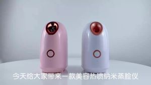 Hot Mini And Cold Ozone Lamp Machine Ionic Hair Spa Portable Sauna Magnifying In Nano Spray Facial Vaporizer Steamer With Mist