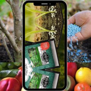 Fruit Fertilizer (Baja Galak Buah) Rich Kalium For Durian Mangga Rambutan Tree Faster Growth Fruit High Quality Garden Home