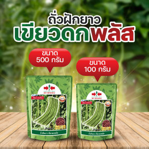 เมล็ดถั่วฝักยาว เขียวดกพลัส ตราศรแดง เมล็ดเคลือบ เมล็ดพันธุ์ถั่วฝักยาว ถั่วฝักยาวถึ่งเนื้อกึ่งเส้น ถั่วฝักยาวศรแดง ถั่วฝักยาวเขียวดกพลัส ถั่วฝักยาวเขียวดก - Lazada