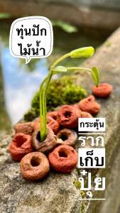 Meddin Factory ทุ่นปักไม้น้ำเม็ดดินเผา (1 ชุด 10 เม็ด) น้ำใส กระตุ้นรากพืช สำหรับอ่างบัวเลี้ยงปลา ตู้ปลา • ขนาดทุ่นปักไม้น้ำเม็ดดินเผา 2.0-2.5 ซม • ขนาดรูปักไม้น้ำ 0.5-0.7 ซม • ปักไม้น้ำได้ 3-4 ก้าน/เม็ด