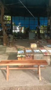 ม้านั่งไม้แผ่นเดียว ม้านั่งสนาม ม้านั่งยาว ม้านั่งไม้ เก้าอี้ไม้ เก้าอี้ยาว ม้านั่งกลางแจ้ง เก้าอี้สนาม Bench Chair Wood