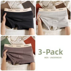 miiow | Mens Cotton Underwear Pure Cotton Embroidered Boxer Shorts Breathable Comfortable Youth Spring 2025 MiiOW Cat Man Briefs