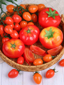 HANYIMOWAN | High-Realism Early Education Tomato Model