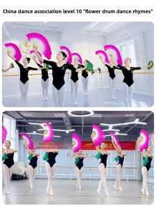 XIAOYAOSHAN | Chinese Dance Examination Props