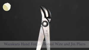 Wazakura Hand Forged Bonsai Tree Trunk Splitter 8.25"(210mm) MADE IN JAPANJapanese Bonsai Curved Jin PliersCurved Tips for Detailed Jin and Shari WorkComfortable Ergonomic HandlesHand-Forged by Japanese Artisans japanese bonsai tools bonsai cutters