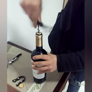 Pembuka Botol Pelbagai Fungsi Cutter Bar Tools Accessories 3 IN 1 Corkscrew Wine Beer Bottle Can Opener Multifunctional Foil Kitchen Party 多功能开瓶器