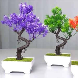 Tanaman Hias & Dekorasi Ruangan: Pot Bunga Plastik, Pohon Piramid Bonsai, & Aksesoris Interior Murah