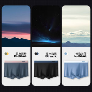 Cat Man Cool Modal Briefs Mens Underwear Seamless Summer Cotton Crotch Boxer Shorts Comfortable Breathable mid Waist Briefs