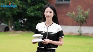 SXH  New Outdoor Waterproof Solar Column Head Light 8LED Dual Mode Garden Decoration Gate Pillar Post Light