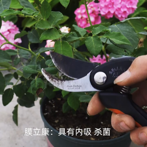 150g Obat Luka Pada Tanaman / Salep Kambium Bonsai