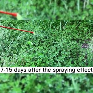 【BUY 2 TAKE 1】Red magic weed killer Grass killer powder Herbicide chemical Weeds and grass killer suitable for all types of weeds weeds pest control pamatay damo