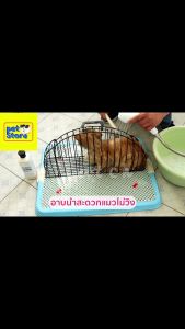 กรงแมวเป่า กรงอาบน้ำแมว ล้างแมว ที่อาบน้ำแมว กรงอาบน้ำแมว Large Size