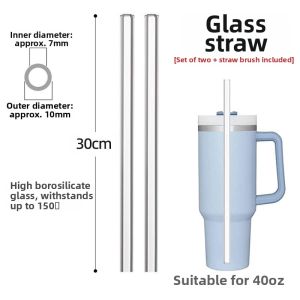 Long Replacement Glass Straw 30cm