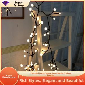 Atmosphere Decorative Lights