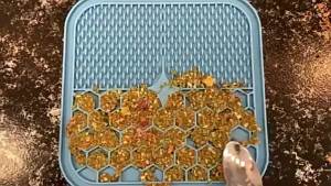Pet Lick Silicone Mat Slow Feeder Dog Food Plate Bathing Distraction Sucker Training Feeder Supplies for Dogs