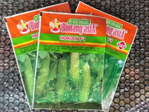 HOKIAN F1 Bibit Unggul Benih Pare Paria 10 gram Bintang Asia