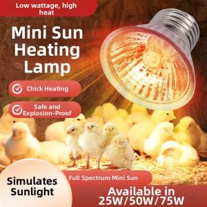 DUANYUN | Hatching & Warming Lamp For Pets