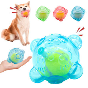 Pet Dog Chew Toy Cute Bear Head Resistant Bite Puppy Toys with Tennies Teeth Cleaning Sound Dog Toy Large Small Dog Squeaky Toy