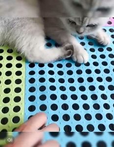 Plastic Matting for Dog 30*30cm Pet Cat Dog cage matting Dog bed Rabbit Cage Cut to Size at Will