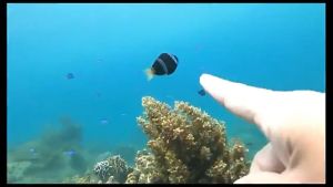 Mask Anti Leak Swimming Goggles For Adults Kids Full Face Snorkeling Set Anti Leak Easy Breathing Snorkel Diving Mask Goggles For Adults Kids