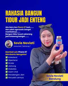 PINERA57 HERBAL 100% OBAT JANTUNG KOLESTEROL HIPERTENSI DIABETES JANTUNG SENDI
