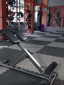 【SG stock】cherry™Fitness dumbbell bench Roman Chair Height Dual Adjustment Portable Fitness Chair