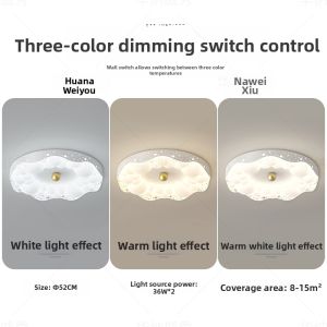 Premium Creative Cream Style Ceiling Light 2026 New