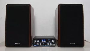 900W AK-55/AK370 Bluetooth 5.0 HiFi Stereo Digital Audio Amplifier Receiver for Home Speakers Dual Channel Power Sound Amp Receiver w/AUX FM MIC USB Echo Reverb Delay-US Plug