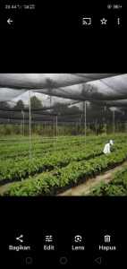 paranet 90% ukuran  2x3  2x4  2x5  2x6  2x7  2x8  2x9  2x10