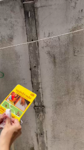 ชอล์กกําจัดมด (CHALK ERA PLUS) ชอล์กอีร่าพลัสกําจัดมด (ทุกชนิด) กําจัดแมลงสาบ ไม่มีกลิ่นรบกวน มีมาตรฐานอย.รับรองคุณภาพ 10 g/กล่อง (แพค 3 กล่อง)