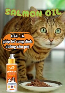 Dầu cá hồi dưỡng lông cho chó mèo SHD Salmon Oil 100ml
